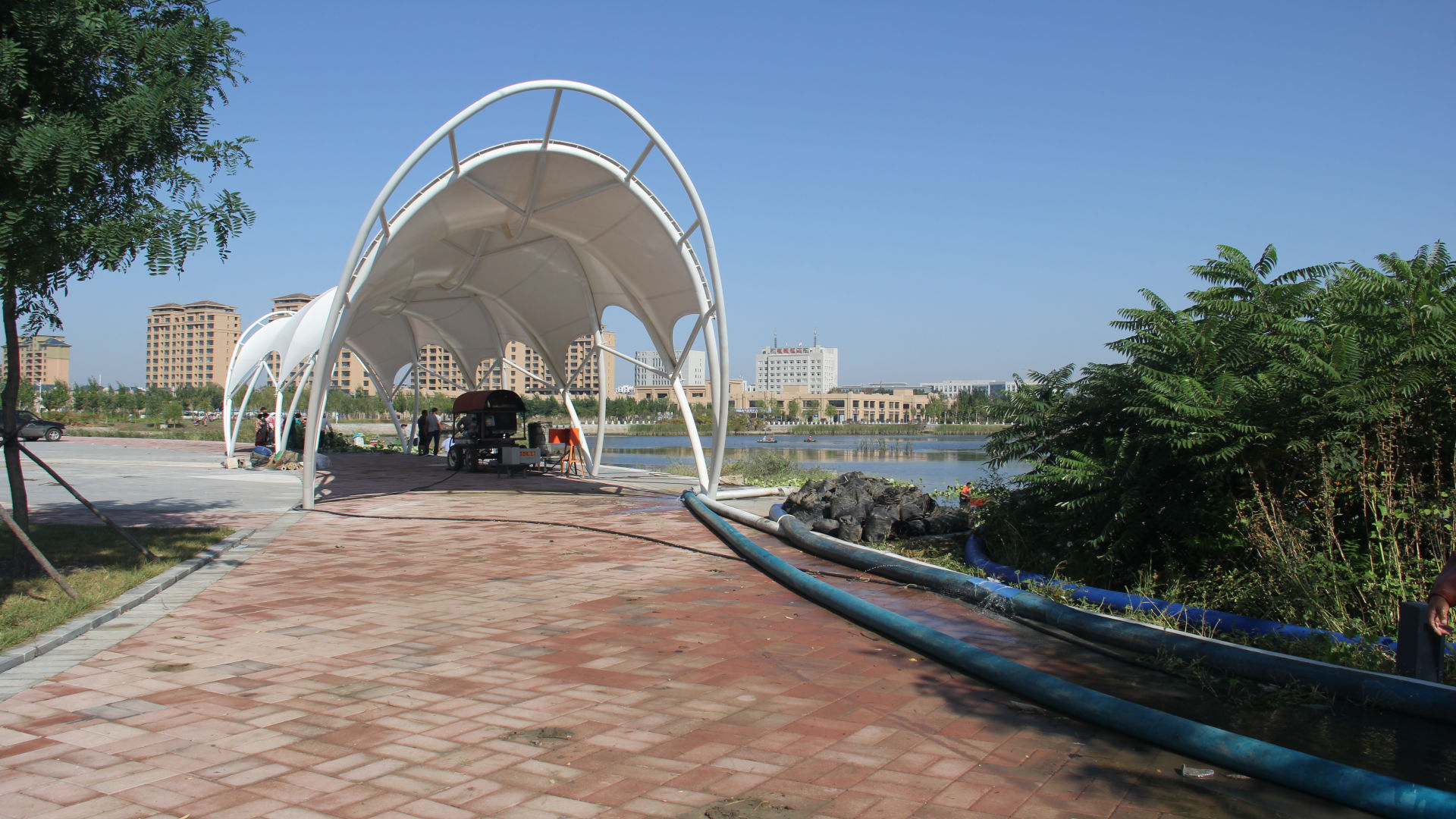 盘山府前人工湖菏花