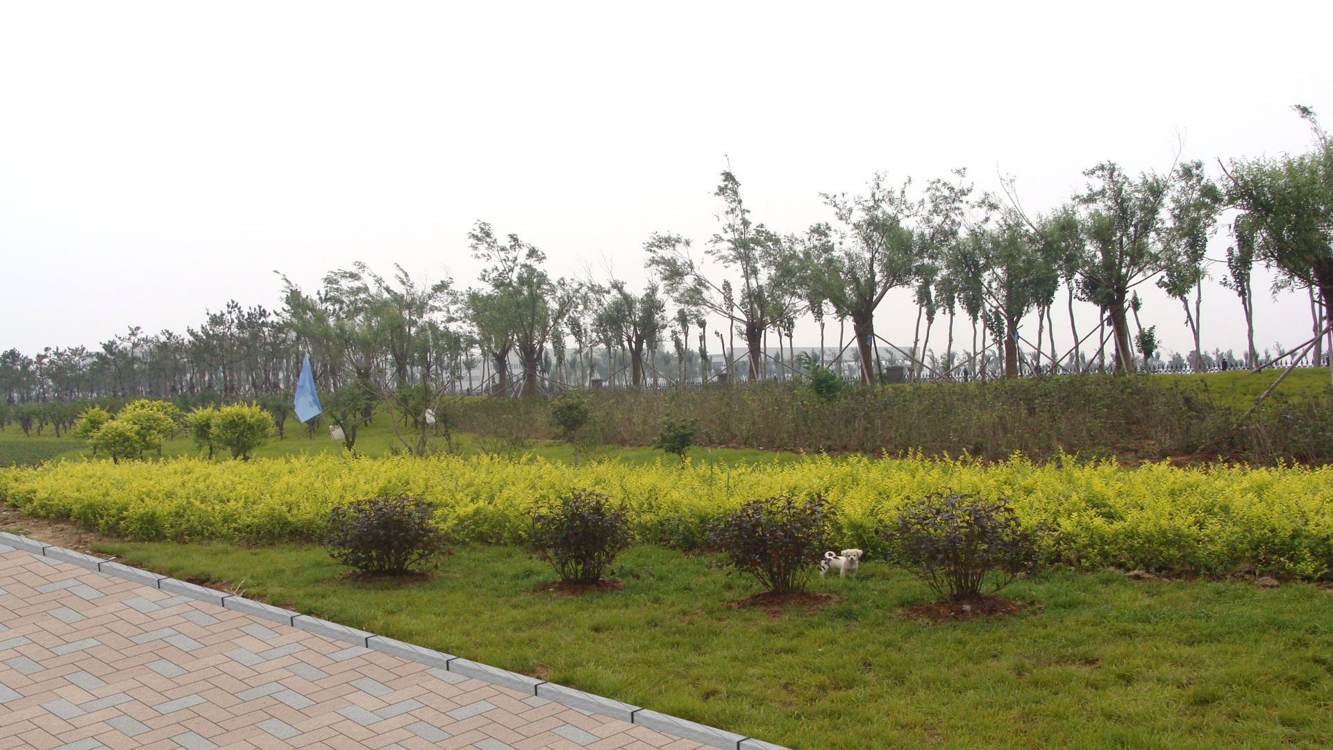 盘锦沿海公路工程2