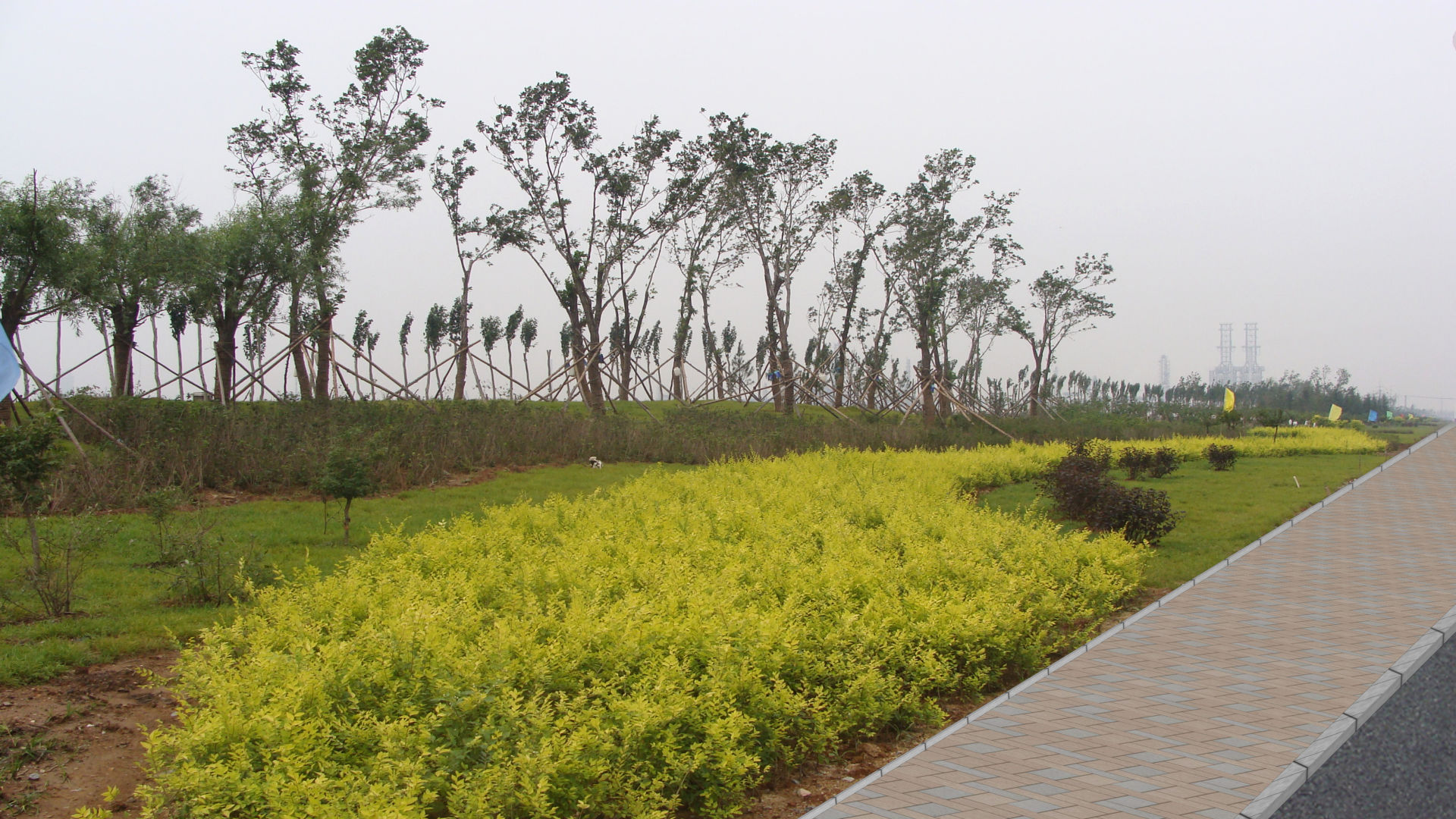 盘锦沿海公路工程3