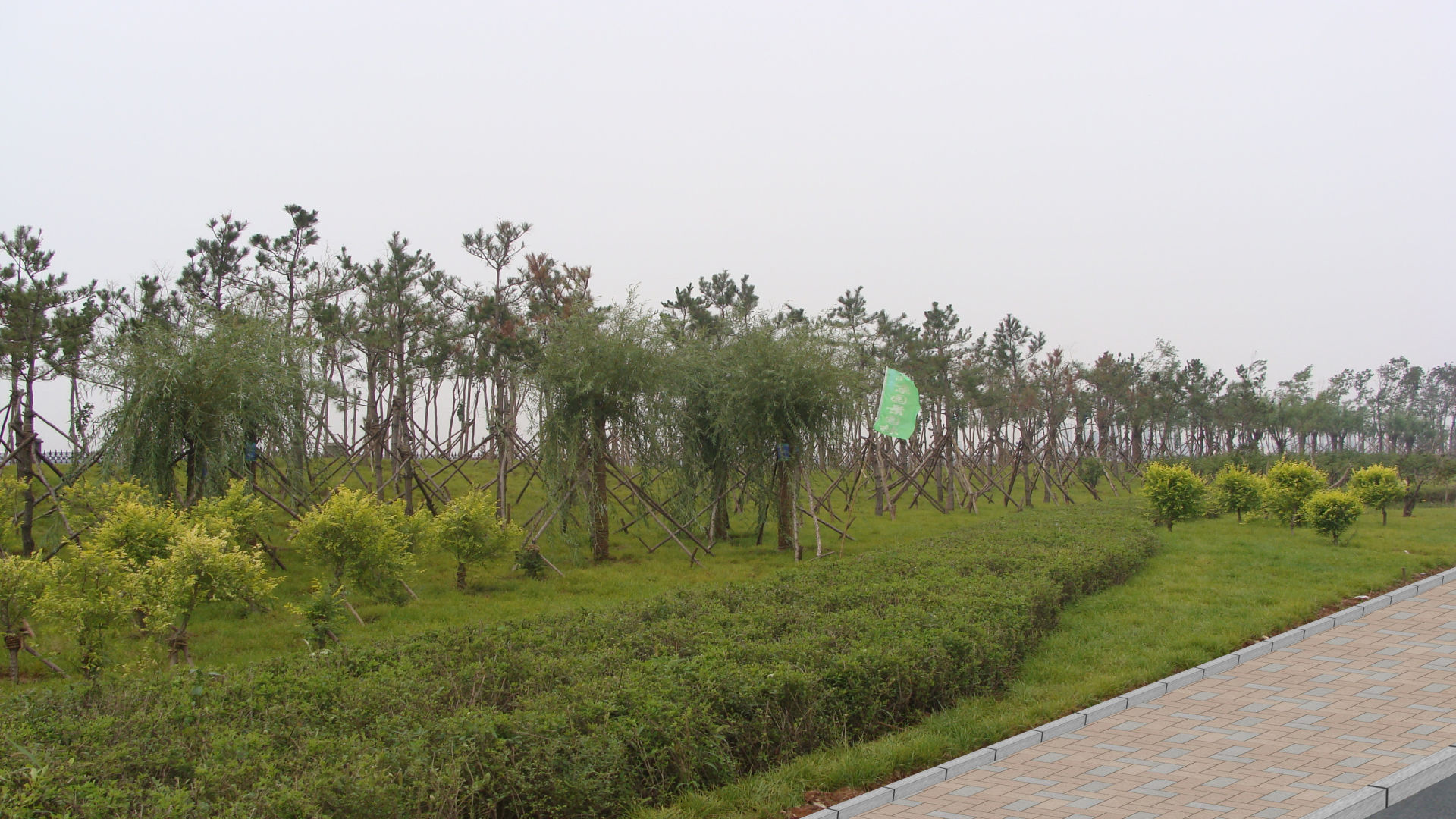 盘锦沿海公路工程4